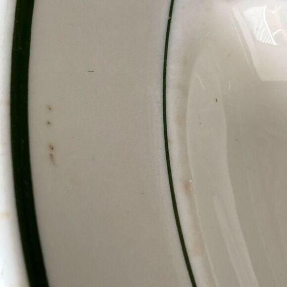 Jackson China B.P.O.E. 349 Elks Lodge DuBois Pa Sectional 10 1/2”  Plate - Picture 4 of 11